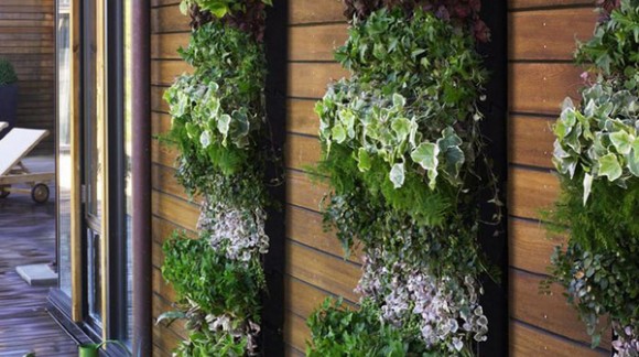 Jardin Vertical